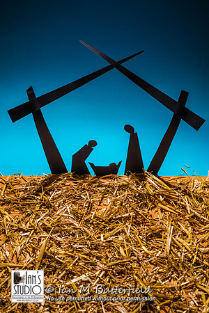 POTD 27 November 2014: Happy Christmas