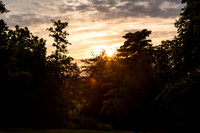 Test Shot