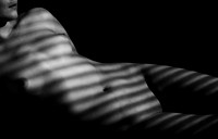 [FE0224A-E02353]