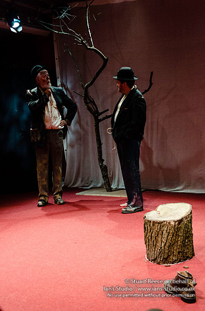 Waiting for Godot