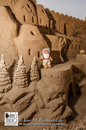 POTD 11 February 2013: Beni, king of the castle