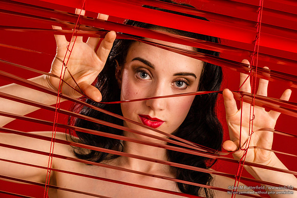 Willow Rose - Enter the Red Room