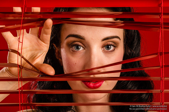 Willow Rose - Enter the Red Room