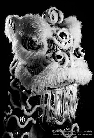 Chinese Dancing Lion