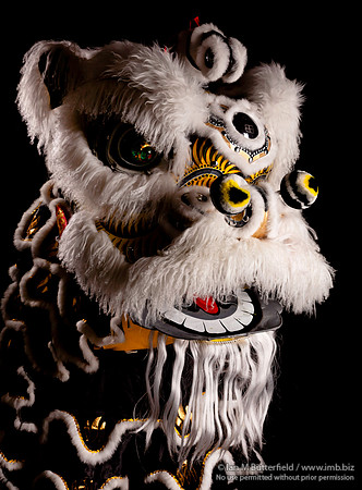 Chinese Dancing Lion
