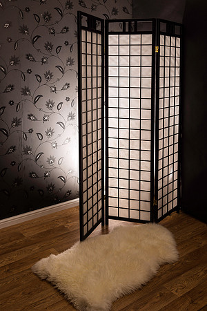 Tri-fold screen set