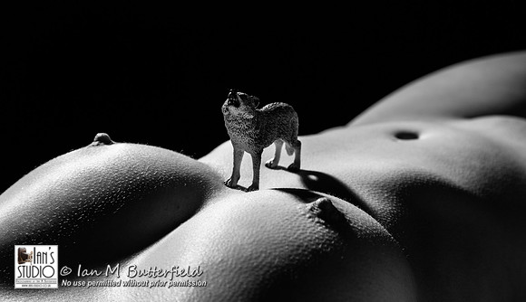 Anastasia