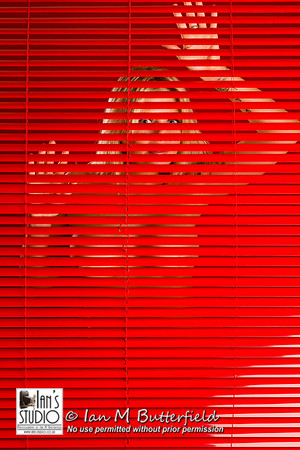 Lina Luxe at Ian's Studio
