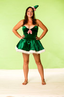 Santa's Little Helper