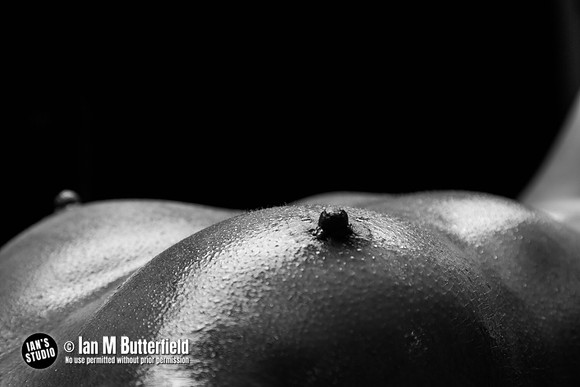 20200911A-G0329