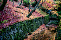 DSC_0260-Edit-2