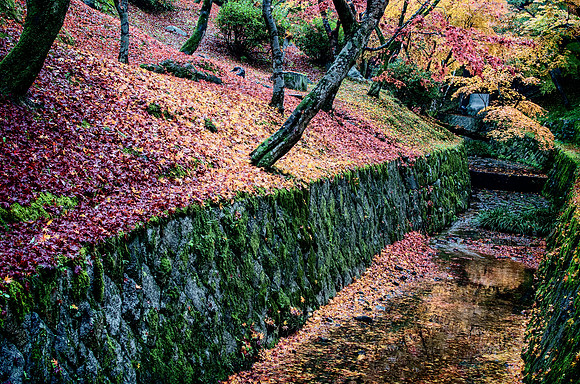 DSC_0260-Edit-2