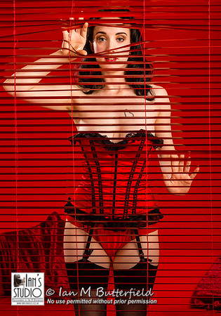 Willow Rose - Enter the Red Room