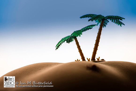 Desert Bodyscape