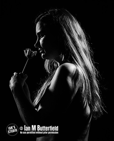 20130112A-E00439