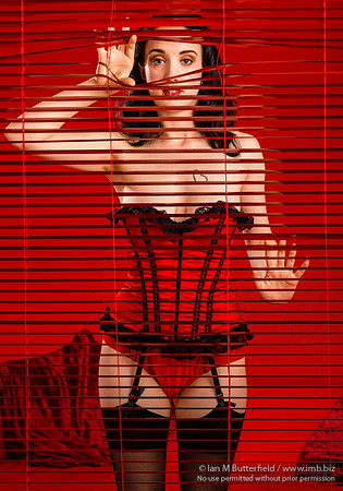 Willow Rose - Enter the Red Room