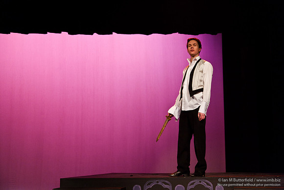 FD0317A-E03954 : Hamlet