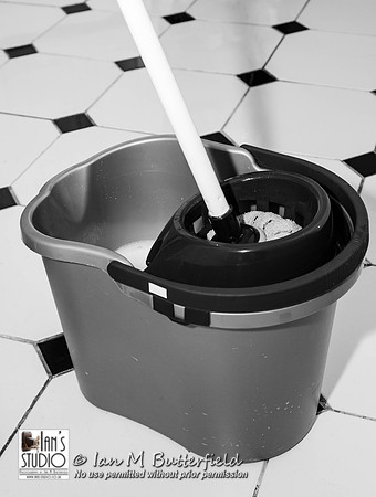 POTD 23 February 2013: Mop and Bucket