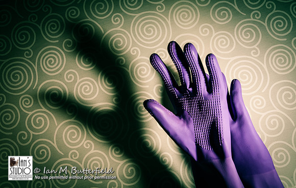 POTD 28 February 2013: Purple Gloves