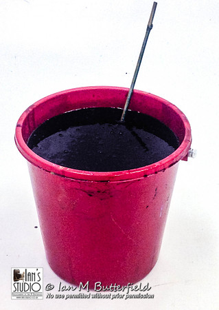 POTD 21 November 2013: Black Slime