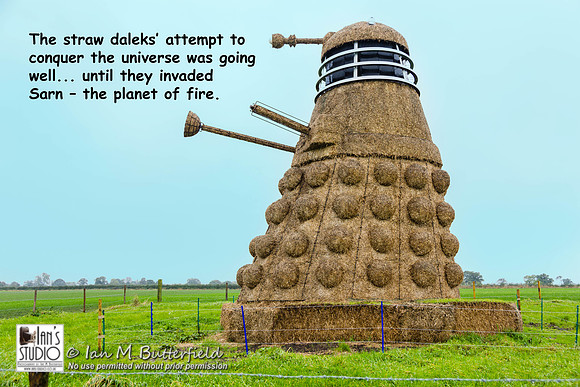 POTD 01 November 2013: Straw Dalek