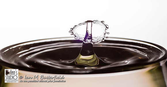POTD 13 December 2013: Water droplets